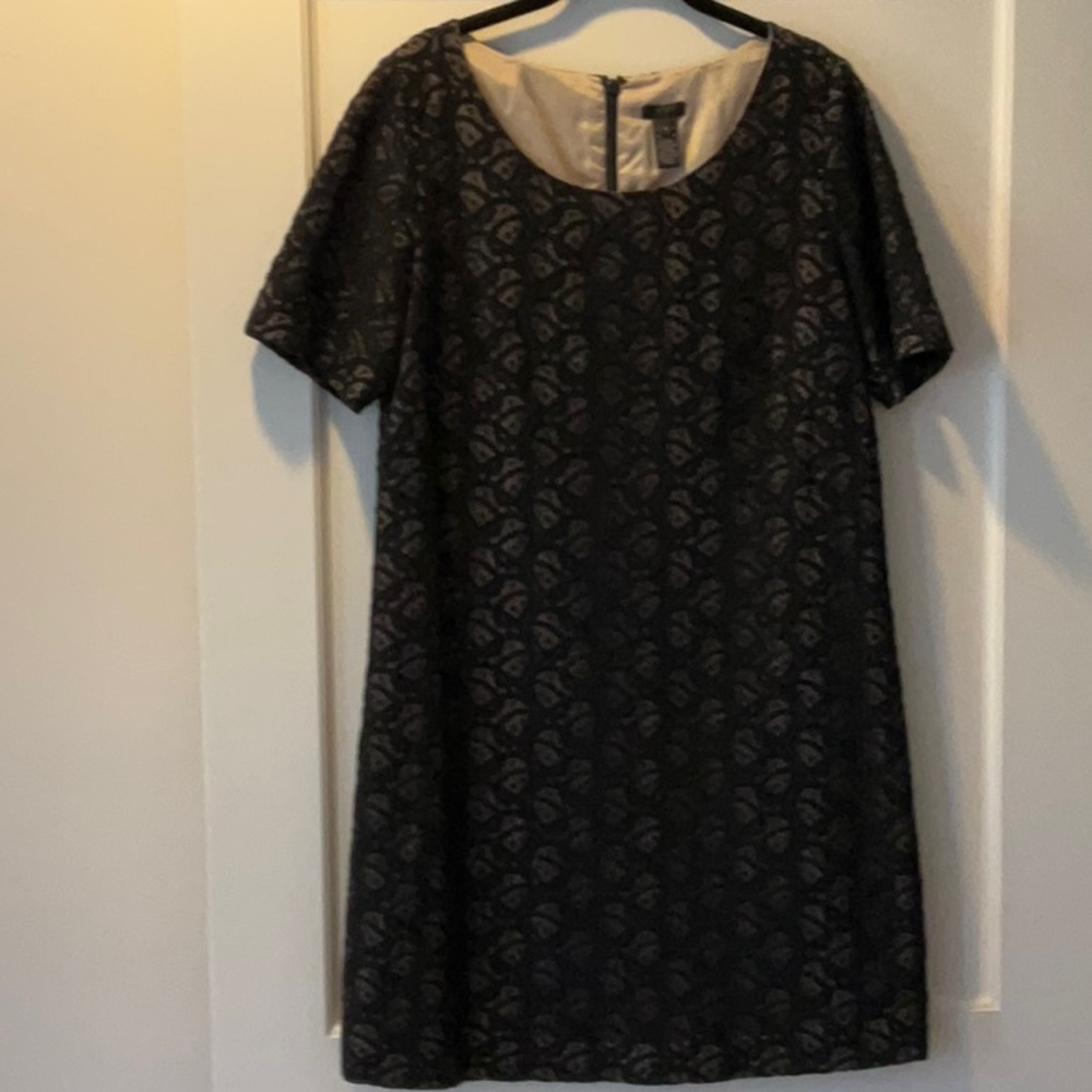 J Crew Black Lace Overlay Knee-Length Dress